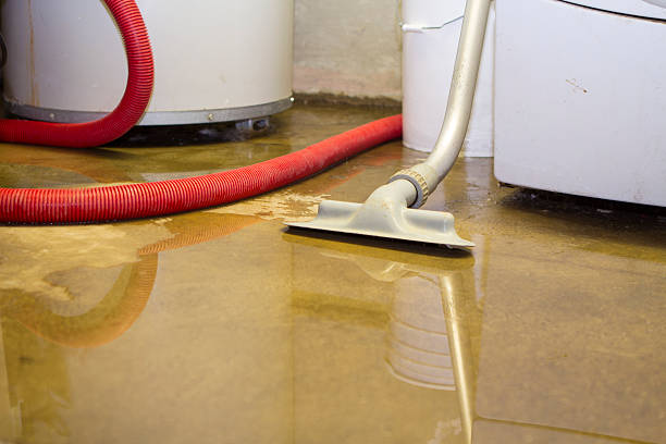 Best Wood Floor Water Damage Restoration in Bayshore, NC