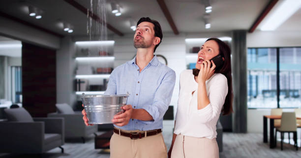 Best Dehumidification and Moisture Control in Bayshore, NC